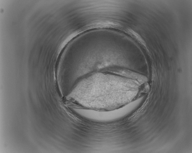 X0000067511226200605051821