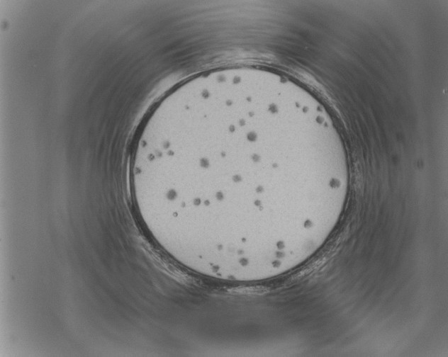 X0000067511227200605051821