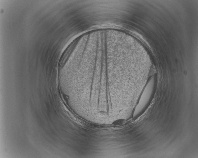 X0000067511228200605051821