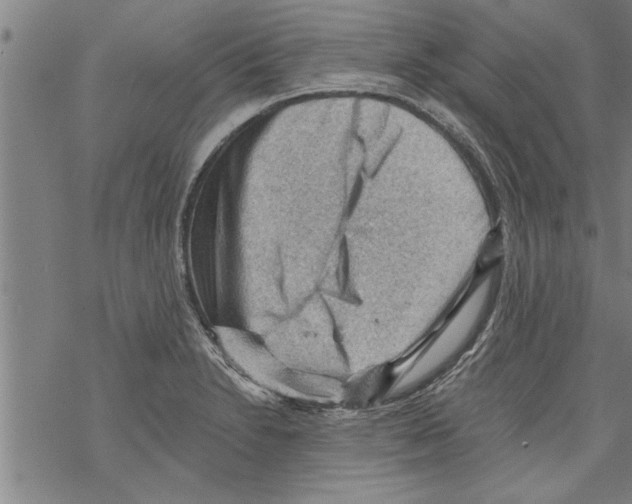 X0000067511230200605051821