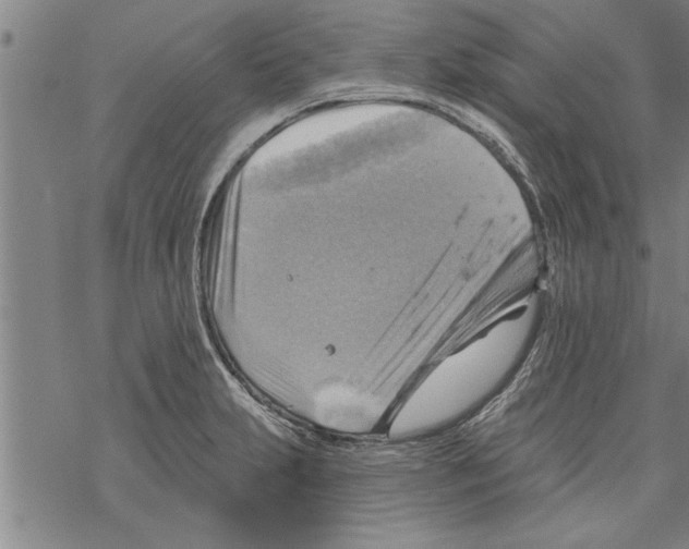 X0000067511231200605051821