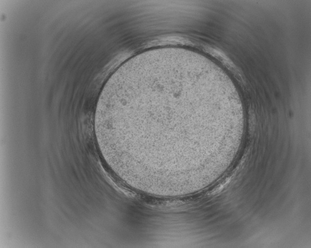 X0000067511233200605051821