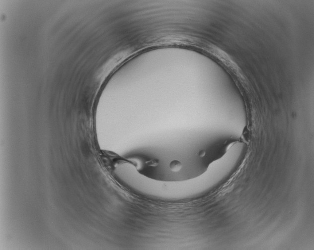 X0000067511234200605051821