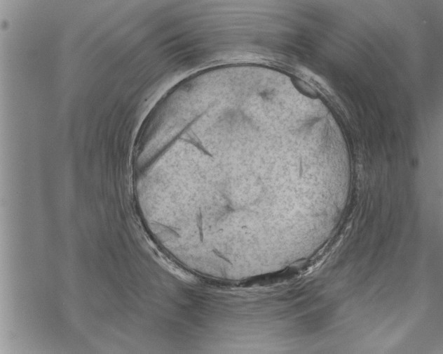 X0000067511236200605051821