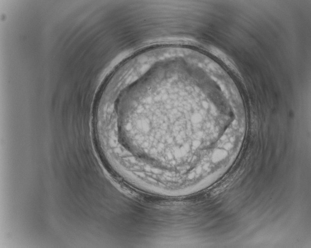 X0000067511237200605051821