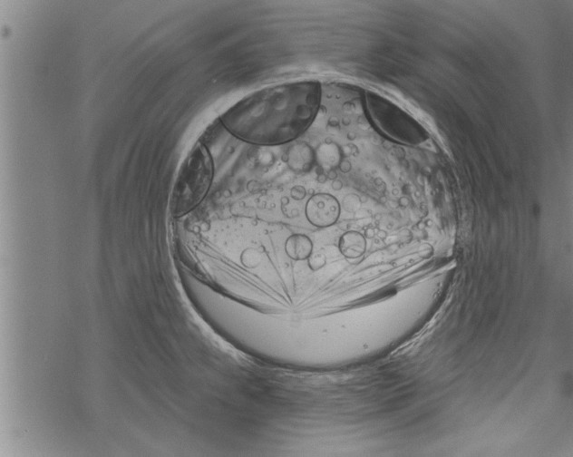 X0000067511239200605051821