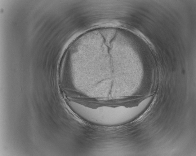 X0000067511240200605051821