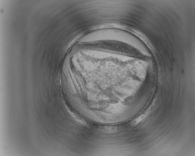 X0000067511241200605051821