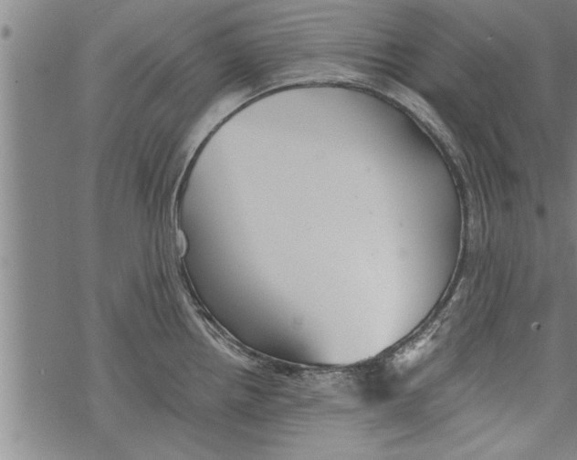 X0000067511242200605051821