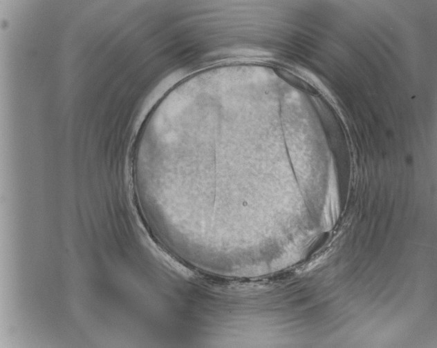 X0000067511243200605051821