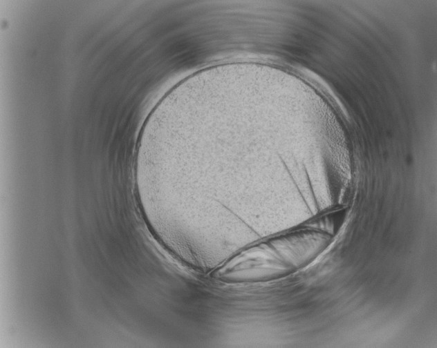 X0000067511244200605051821