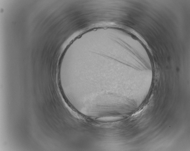 X0000067511245200605051821