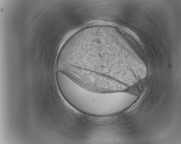 X0000067511247200605051821