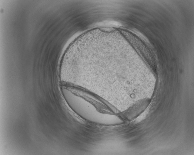 X0000067511248200605051821