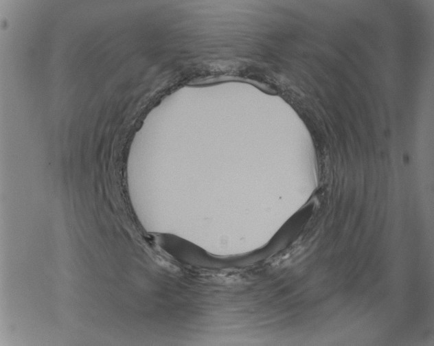 X0000067511249200605051820