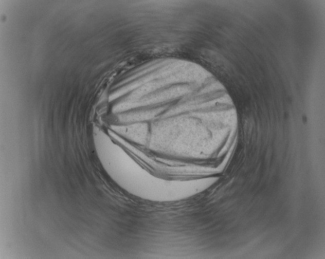 X0000067511250200605051820