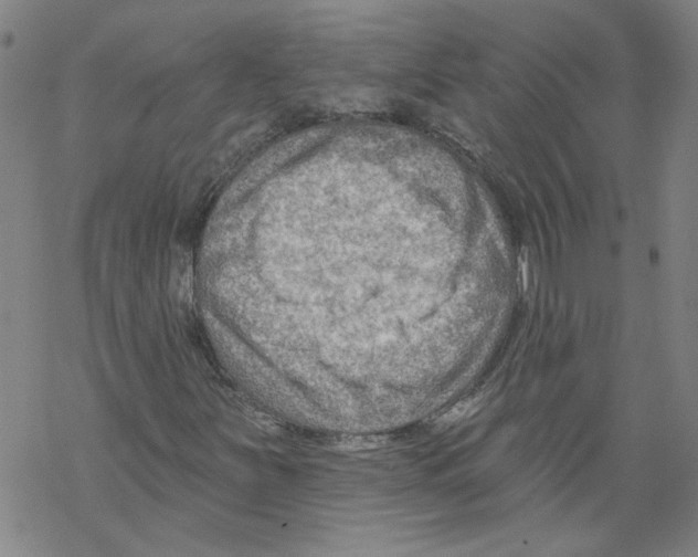 X0000067511251200605051820