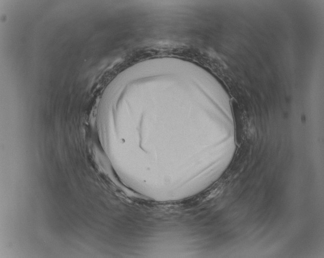 X0000067511253200605051820