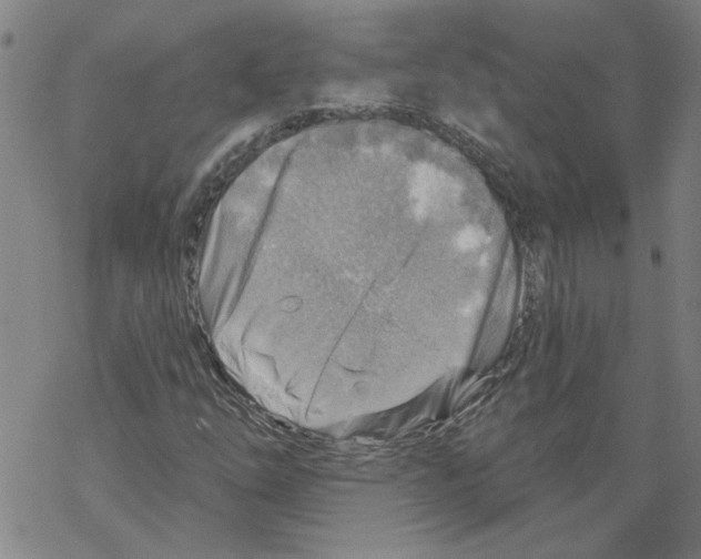 X0000067511254200605051820