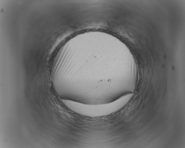 X0000067511256200605051820