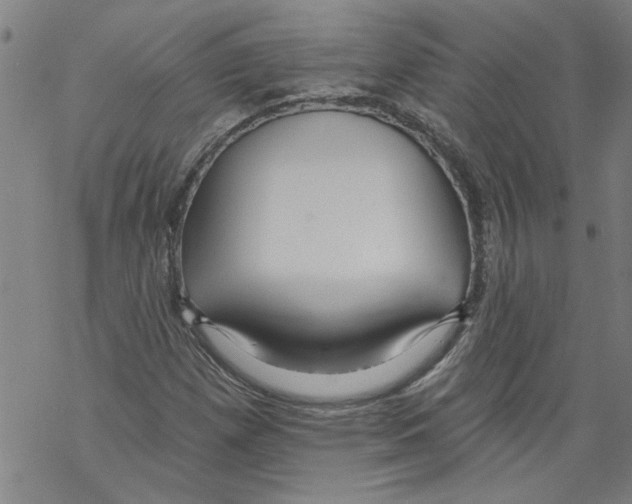 X0000067511257200605051820