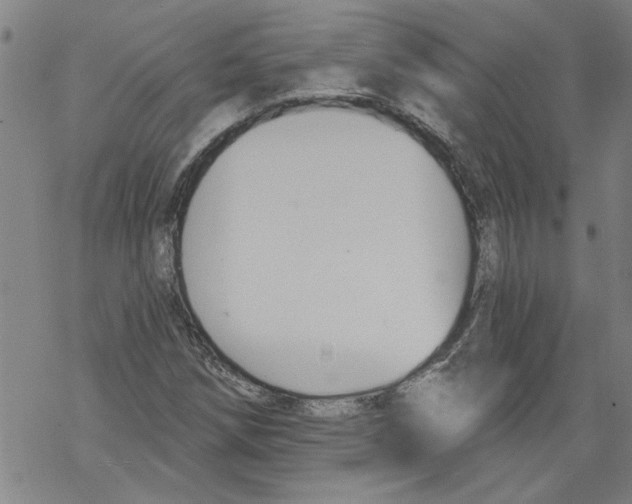 X0000067511258200605051820