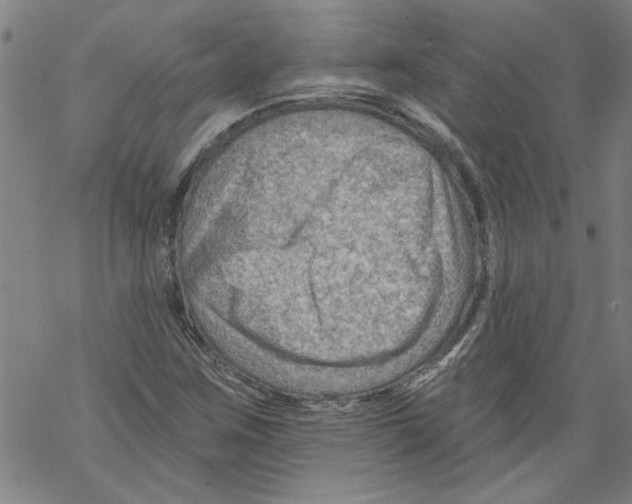 X0000067511259200605051820