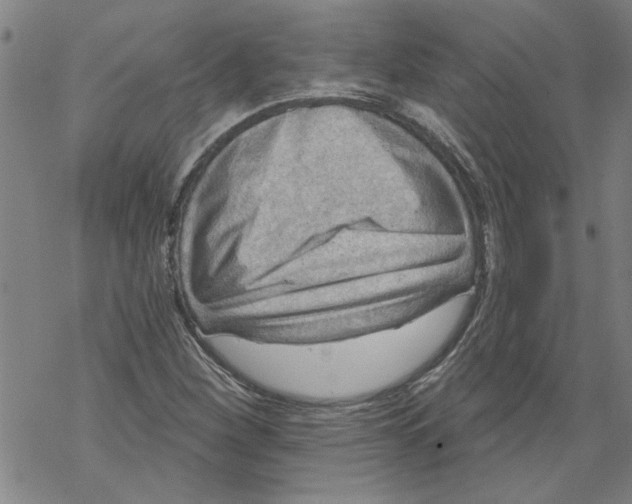 X0000067511260200605051820