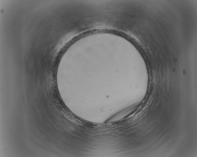 X0000067511263200605051820