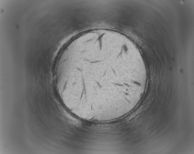 X0000067511264200605051820