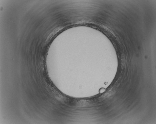 X0000067511265200605051820