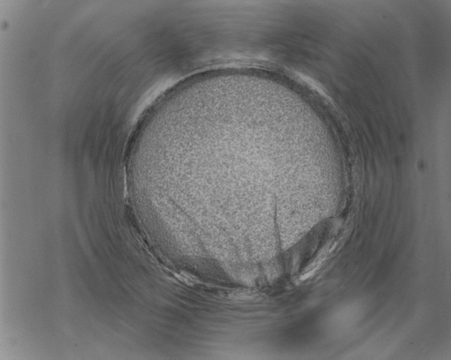 X0000067511267200605051820