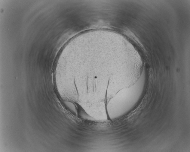 X0000067511268200605051820