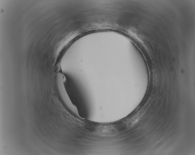 X0000067511269200605051820