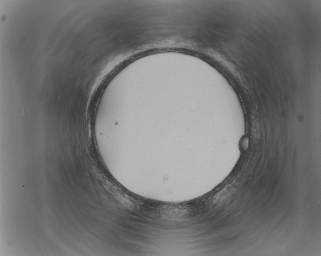 X0000067511270200605051820