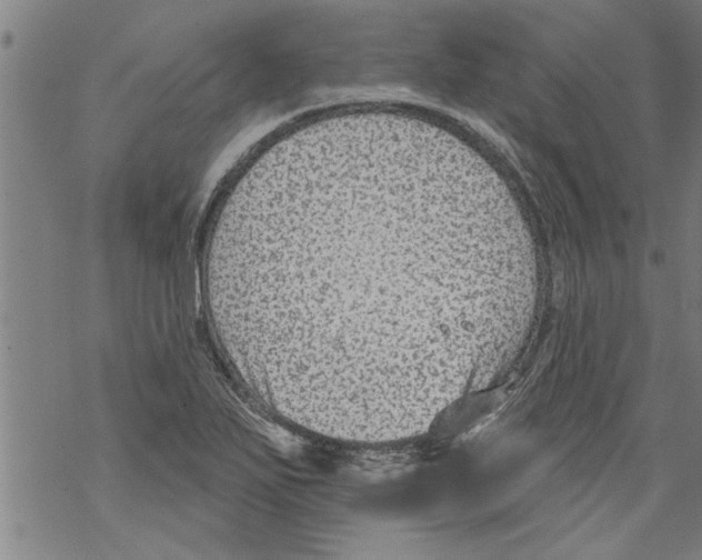 X0000067511271200605051820