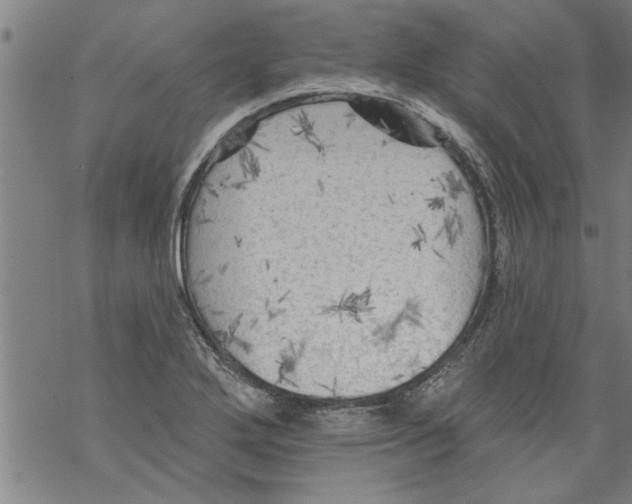 X0000067511272200605051820