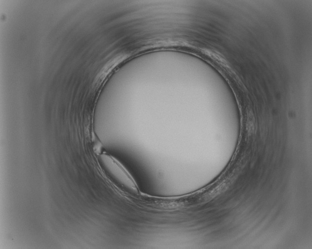 X0000067511273200605051820