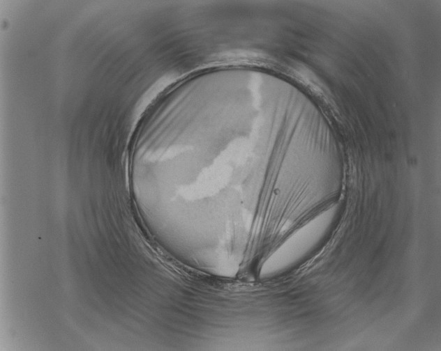 X0000067511275200605051820