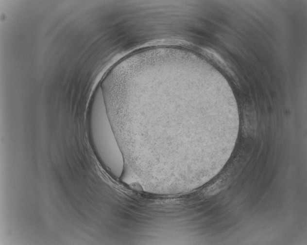 X0000067511276200605051820