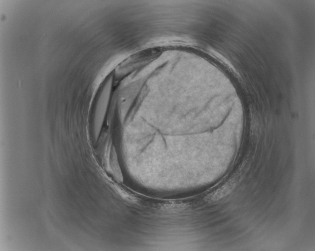 X0000067511277200605051820