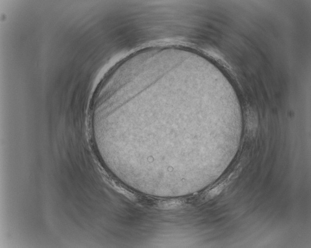 X0000067511278200605051820