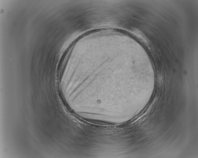 X0000067511279200605051820