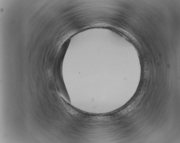 X0000067511281200605051820