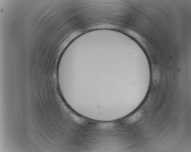 X0000067511282200605051820