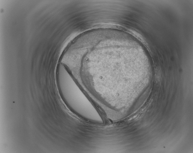 X0000067511283200605051820