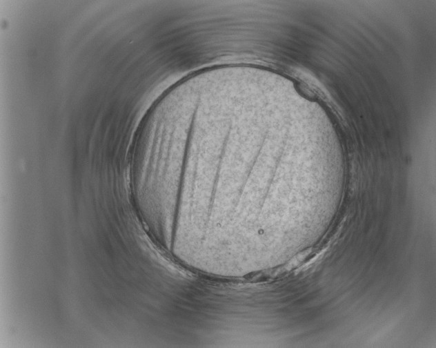 X0000067511284200605051820