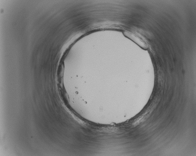 X0000067511285200605051820