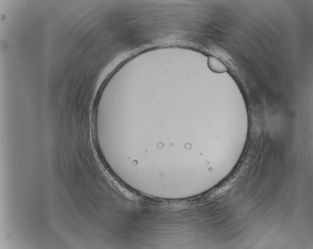 X0000067511286200605051820