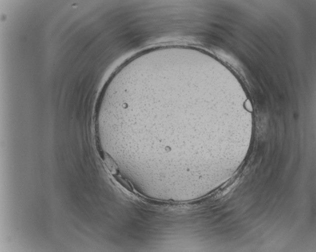 X0000067511288200605051820